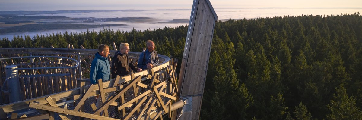 Idarkopfturm Vogelnest 3 Männer stehen auf der Plattform des Idarkopfturmes, die aussieht wie ein Vogelnest, und schauen in die Ferne