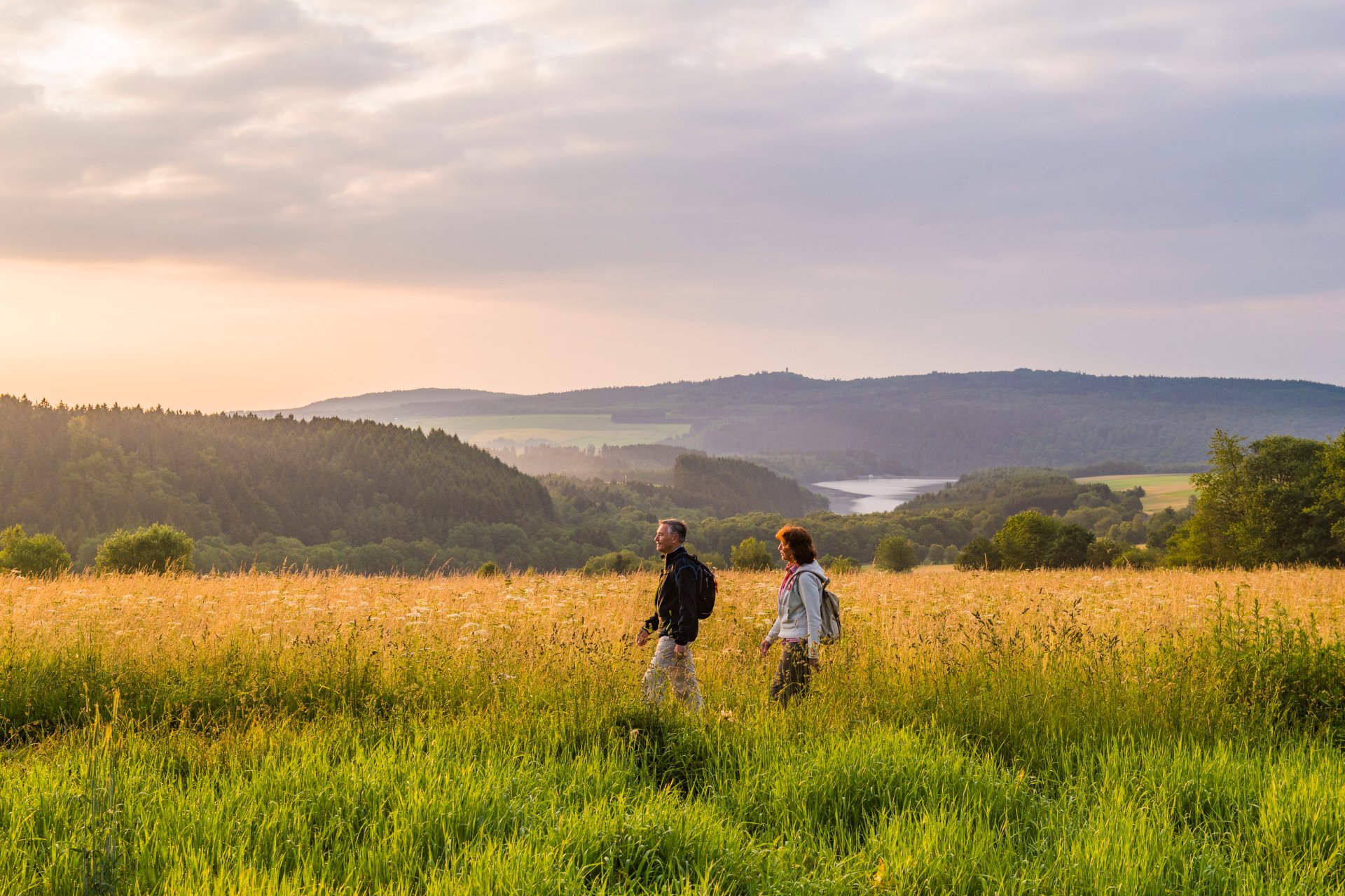 Blick auf die Steinbachtalsperre Blick über Wiesen, Felder und Bäumen auf die Steinbachtalsperre mit einem Wanderer und einer Wanderin im Vordergrund.