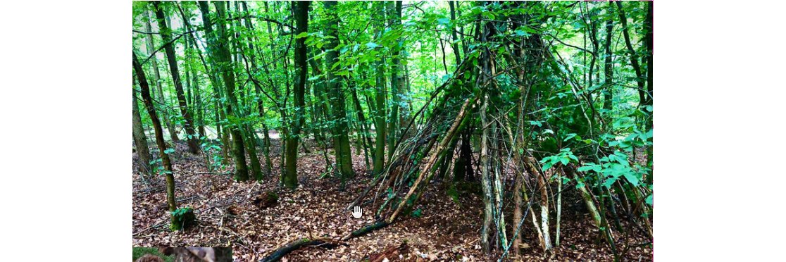 zu sehen ist ein Holz-Tippi im Wald, erbaut während der Naturtage