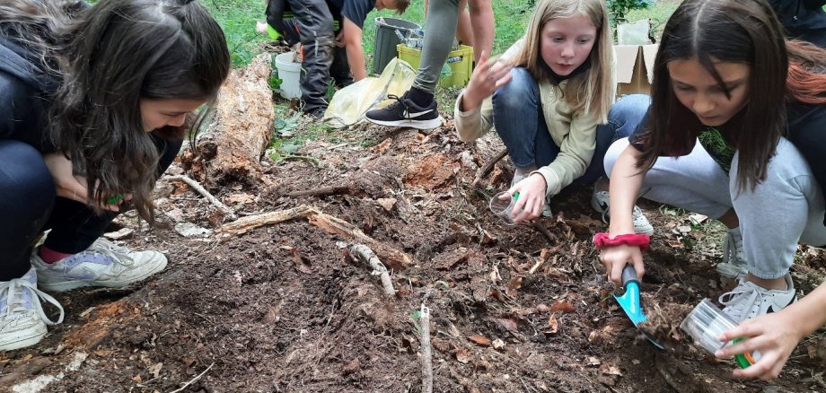 Foto mit 3 Kindern, die bei der Anpflanzung von Setzlingen (Bäumchen) zu sehen sind