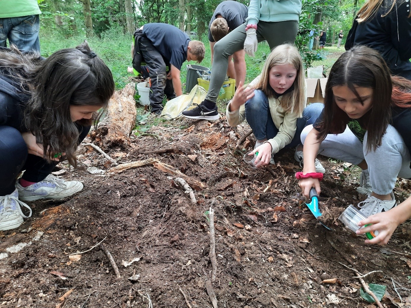 Foto mit 3 Kindern, die bei der Anpflanzung von Setzlingen (Bäumchen) zu sehen sind