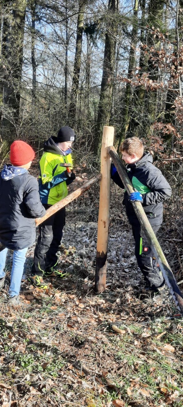 Foto Kinder Pflanzung Wald, es sind 3 Kinder zu sehen, welche eine Stabilisierung von Setzlingen anbringen