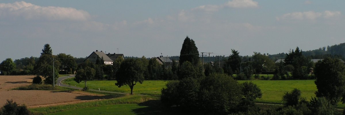 Die Ortsgemeinde Asbach hinter Bäumen und Wiesen aus Richtung Hellertshausen kommend