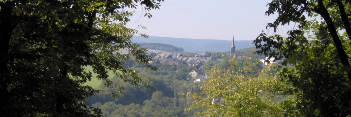 Blick auf die Ortsgemeinde Bundenbach