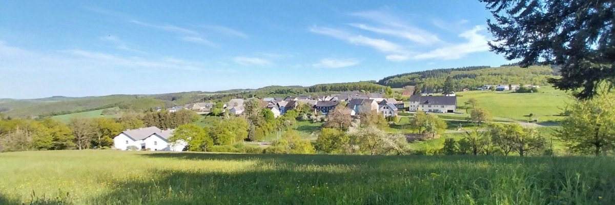 Ortsansicht der Ortsgemeinde Griebelschied mit im Vorgrund eine Wiese mit eine paar Bäumen