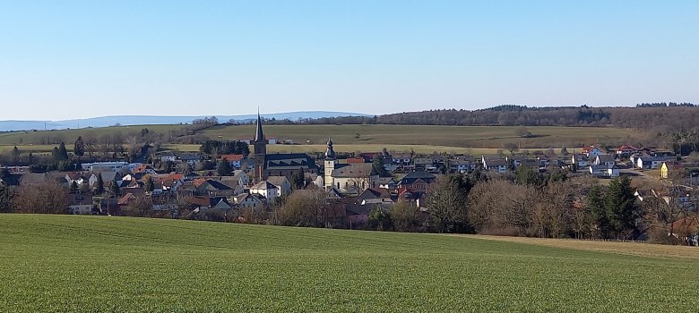 Ortsansicht von Sien im Vordergrund eine grüne Wiese und dahinter eine Ortsansicht der Ortsgemeinde Sien
