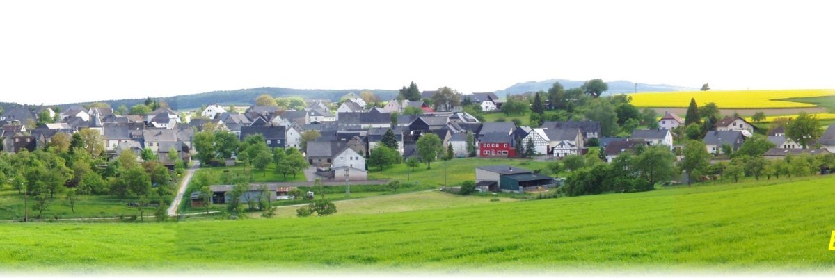 Im Vordergrund erstreckt sich eine grüne Wiese, dahinter liegt ein Dorf mit zahlreichen Häusern, die von Bäumen und Feldern umgeben sind. Die Dächer der Gebäude sind überwiegend dunkel gedeckt. Im Hintergrund sind Felder und ein Waldstreifen zu sehen. In der rechten unteren Ecke steht gelb der Schriftzug 'Blick auf Sulzbach'.