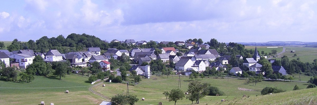 im Vordergrund eine Wiese mit Heuballen und im Hindergrund die Ortsansicht von Wickenrodt