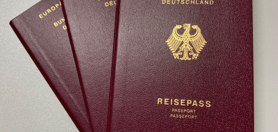 Reisepässe als Musterbild