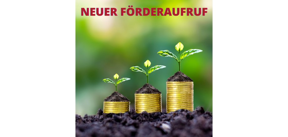 3 unterschiedlich hohe Stapel Münzen, welche auf der Erde stehen und es sieht aus, als ob eine Pflanze hieraus wächst. Überschrift neuer Förderaufruf
