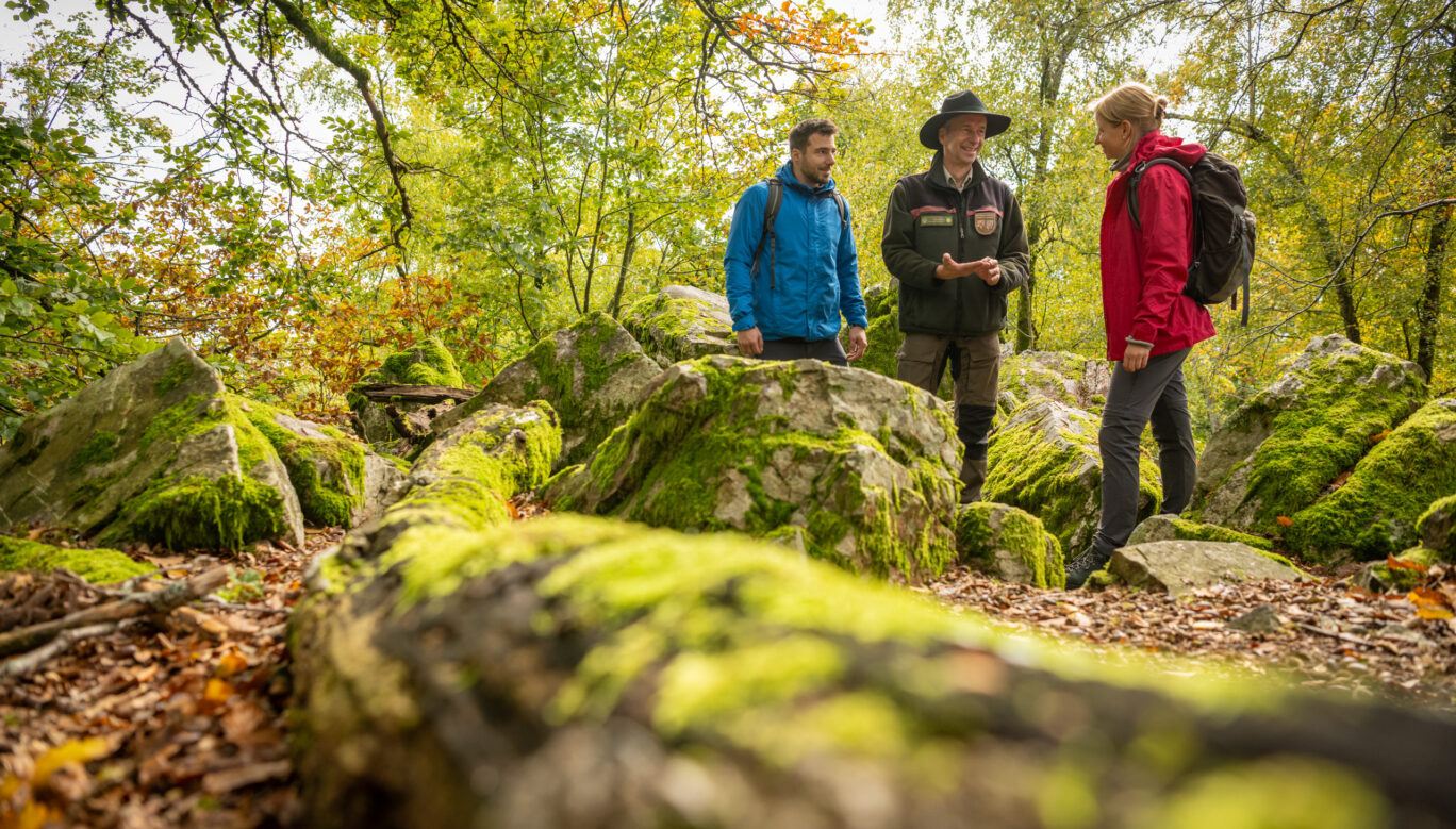 Foto Rangertour Foto von 3 Personen im Wald