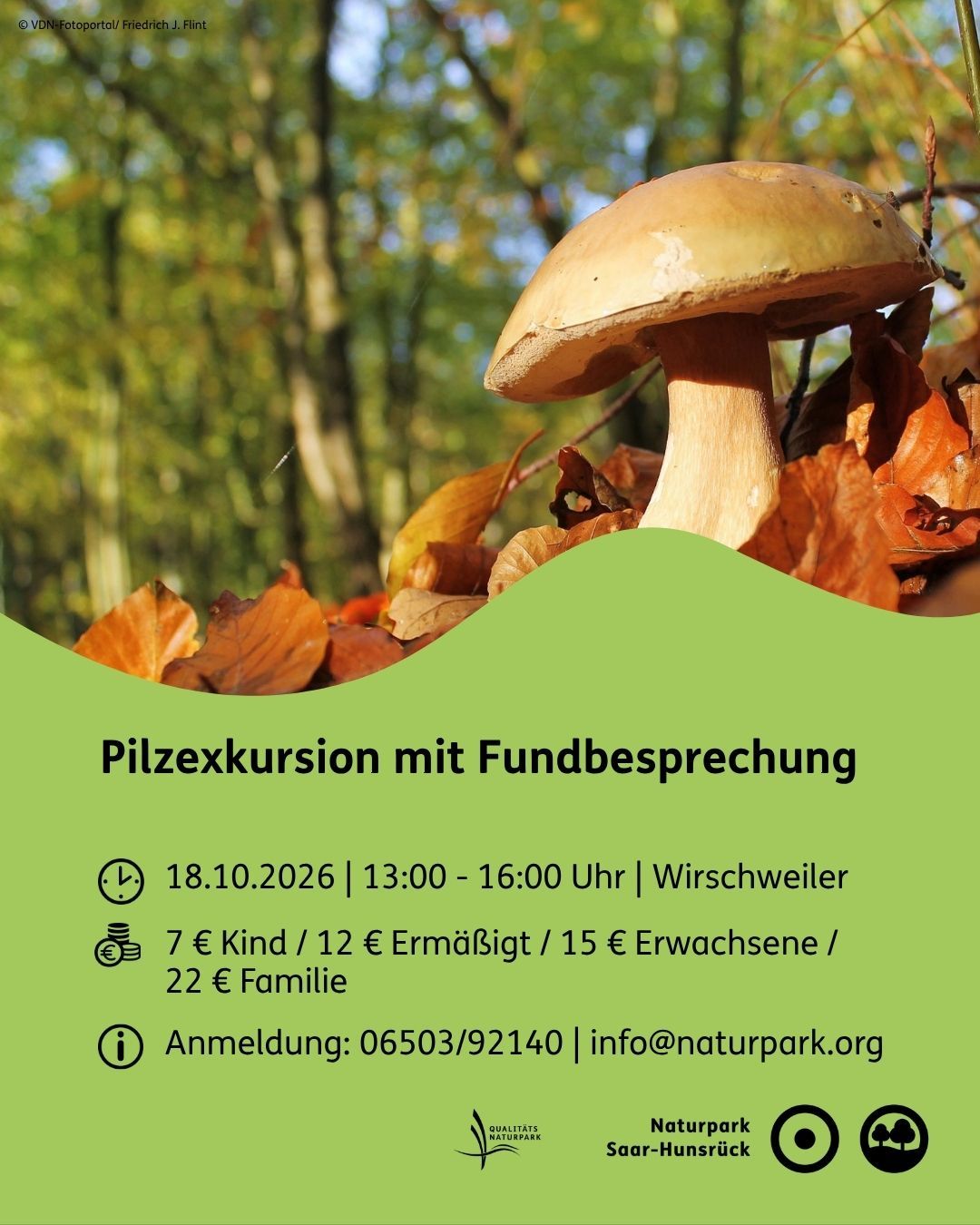 Nahaufnahme eines Pilzes auf dem Waldboden mit Herbstlaub im Hintergrund und grünem Textfeld mit Informationen zur Pilzexkursion