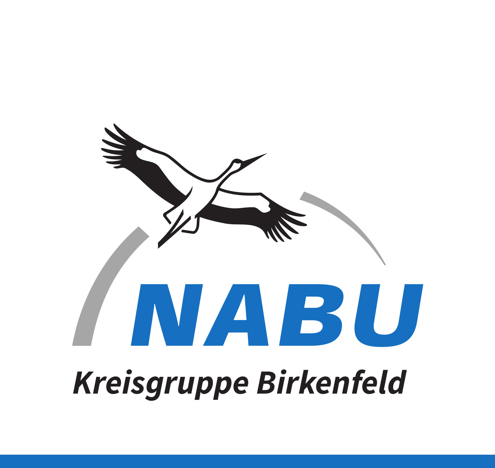 Logo Nabu Kreisgruppe Birkenfeld der HIntergrund ist weiß, unten befindet sich ein schmaler blauer Balken, es ist ein Storch zu sehen und darunter der Schriftzug NABU Kreisgruppe Birkenfeld
