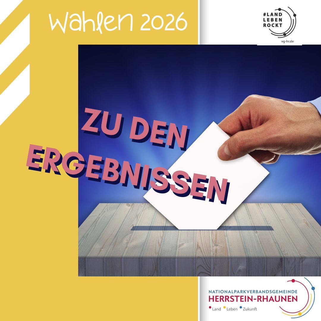 Fotografie von Wahlurne in welche gerade ein Wahlzettel eingeworfen wird. Text "zu den Wahlergebnissen"